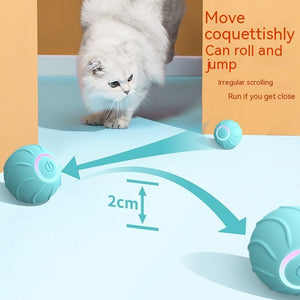 Smart USB Rolling Interactive Cat Toy Ball