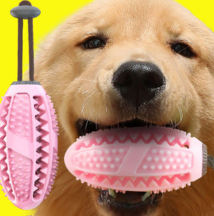 Silicone Suction Cup Dog Chew & Tug Toy