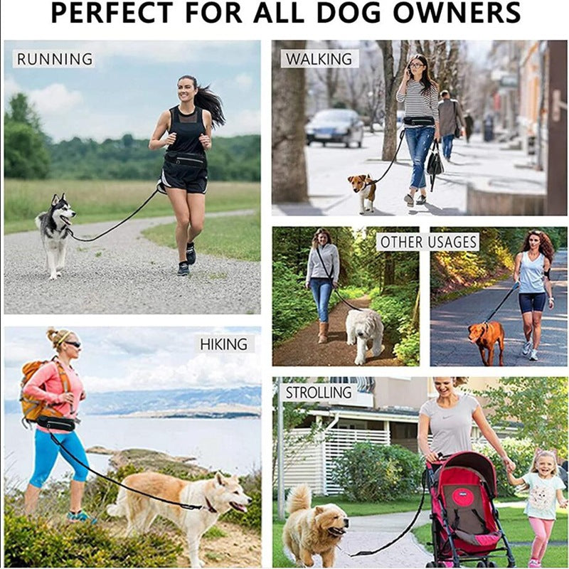Hands-Free Dog Walking & Training Bungee Leash