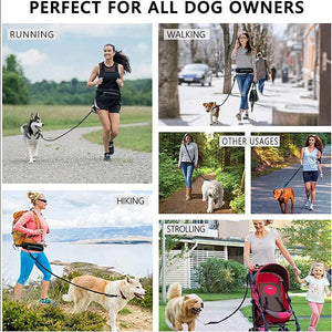 Hands-Free Dog Walking & Training Bungee Leash