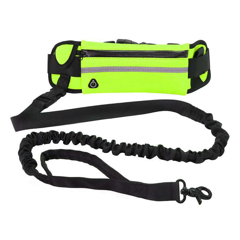 Hands-Free Dog Walking & Training Bungee Leash