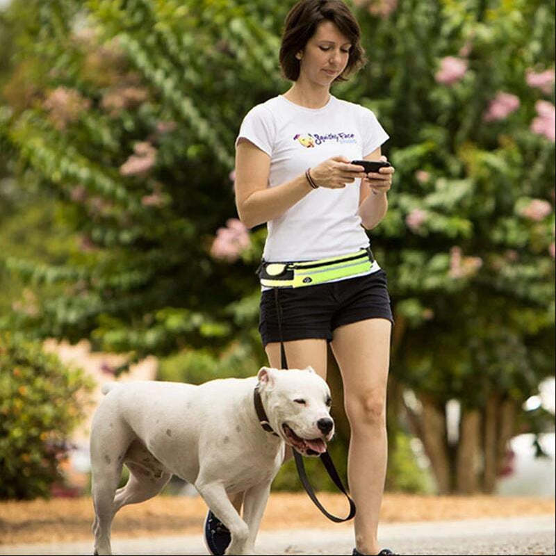 Hands-Free Dog Walking & Training Bungee Leash