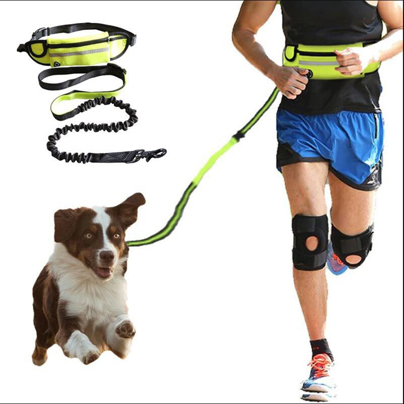 Hands-Free Dog Walking & Training Bungee Leash