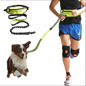 Hands-Free Dog Walking & Training Bungee Leash