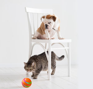 USB Self-Rotating Intelligent Cat Toy Ball