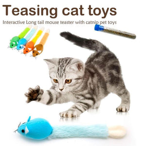 Long Tail Interactive Cat Teaser Toy Mouse