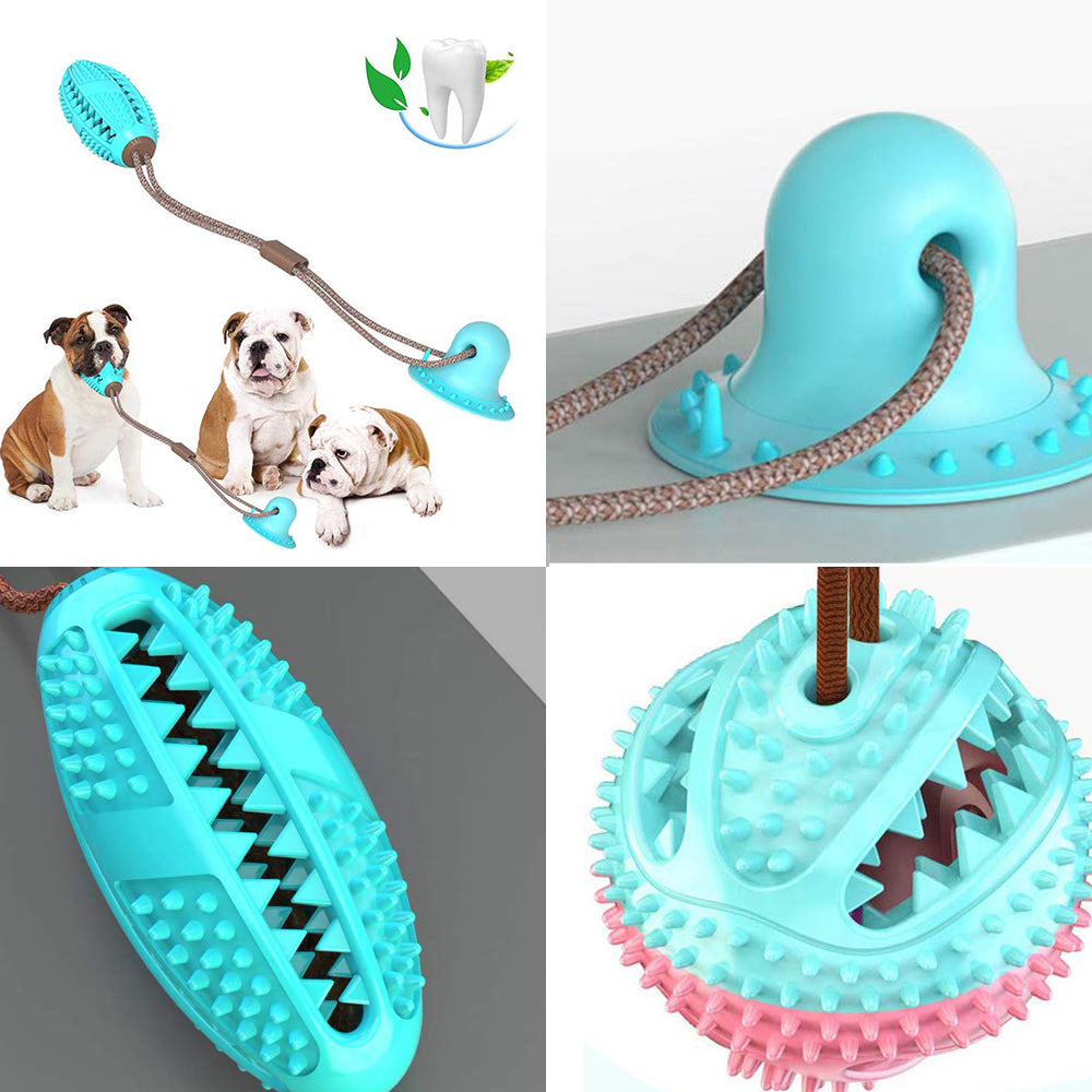 Silicone Suction Cup Dog Chew & Tug Toy