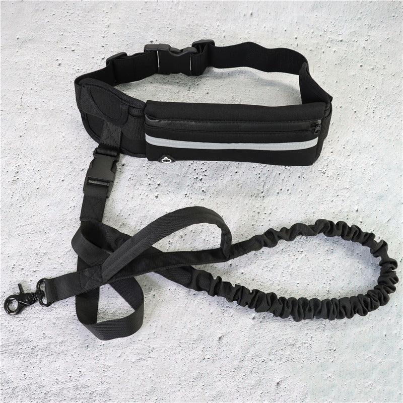 Hands-Free Dog Walking & Training Bungee Leash
