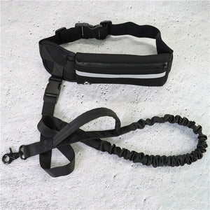 Hands-Free Dog Walking & Training Bungee Leash