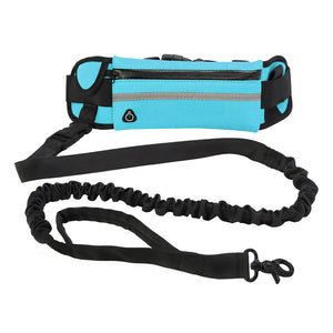 Hands-Free Dog Walking & Training Bungee Leash