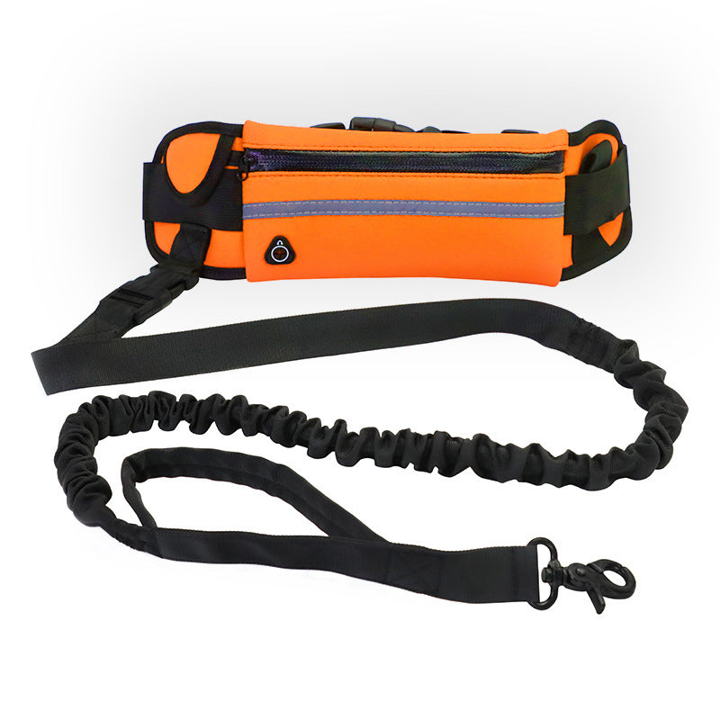 Hands-Free Dog Walking & Training Bungee Leash