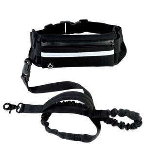 Hands-Free Dog Walking & Training Bungee Leash