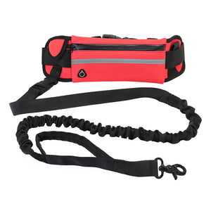Hands-Free Dog Walking & Training Bungee Leash